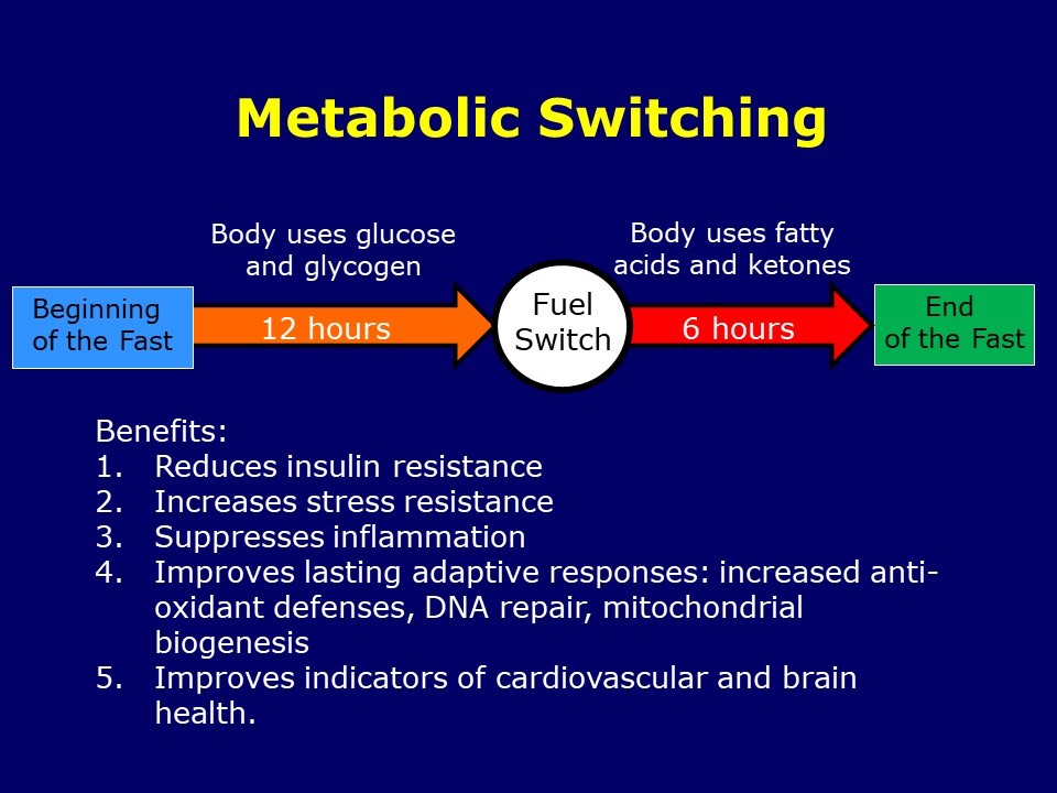 Metabolic Switching